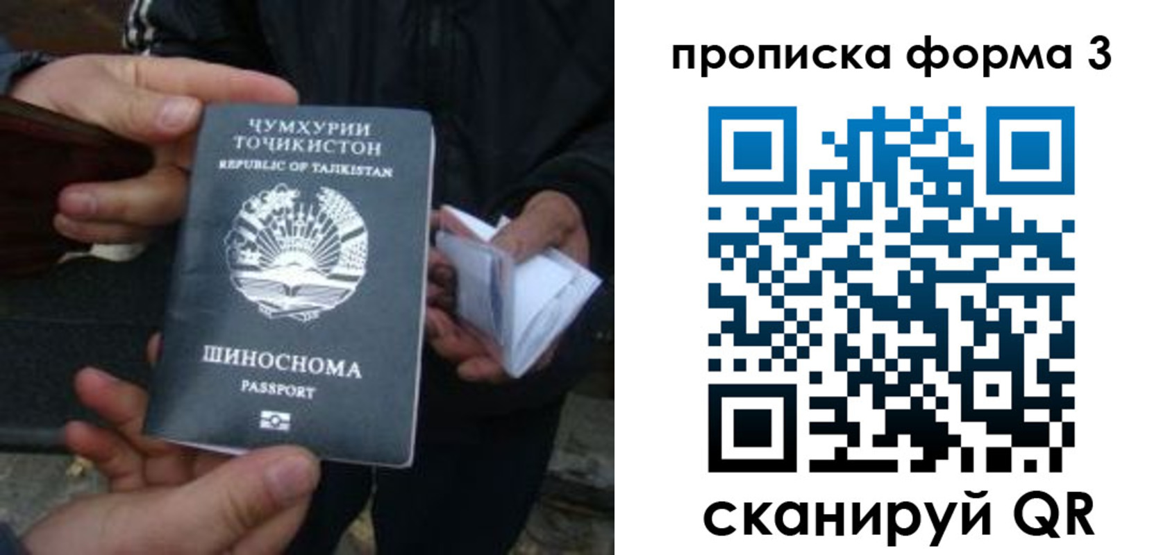 прописка 2025 в Палласовке